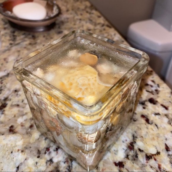 Gorgeous Stylish Modern Seashell Glass Decoration - Picture 3 of 4